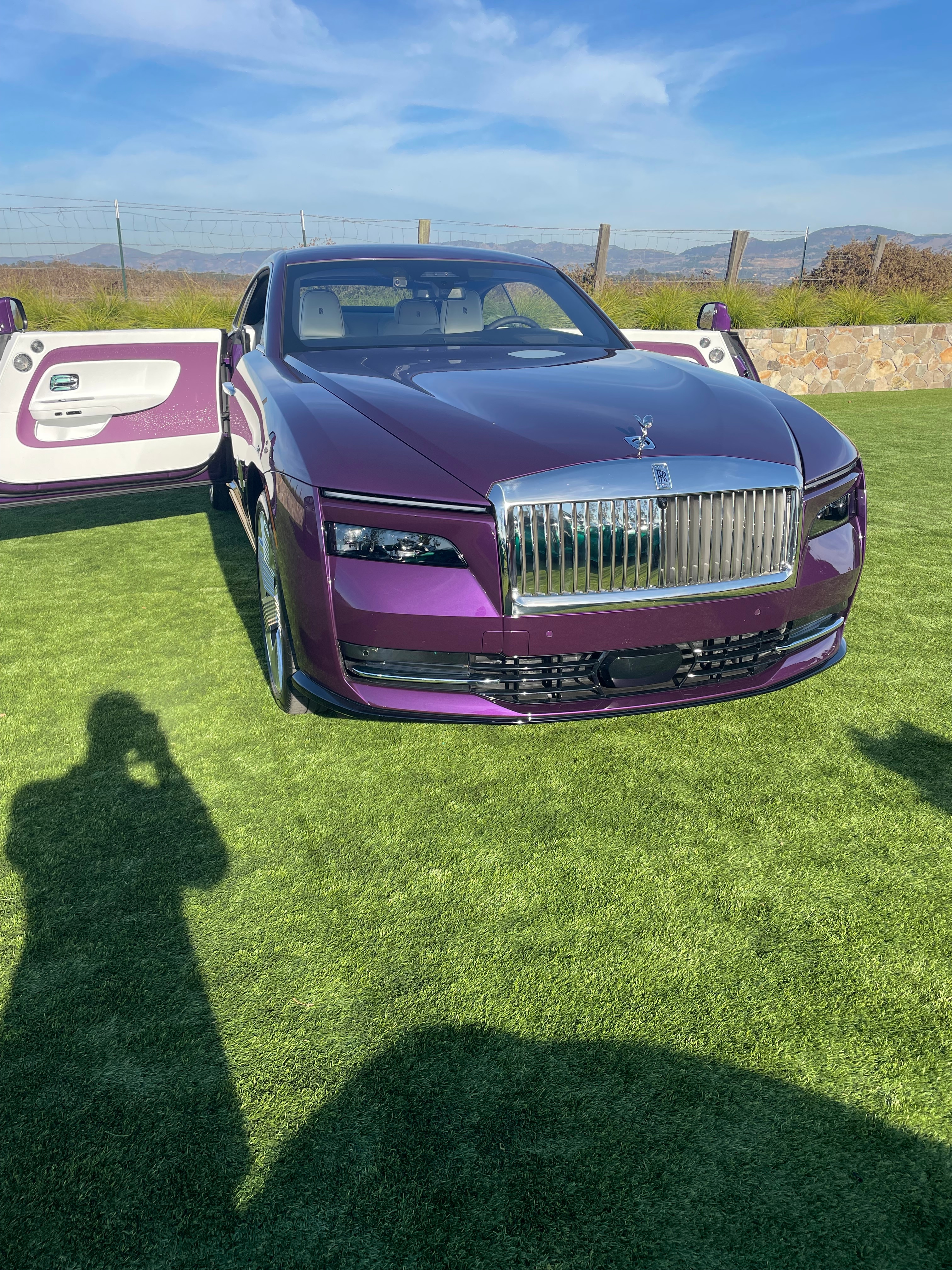 Chauffeured secure transport